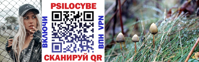 Галлюциногенные грибы MAGIC MUSHROOMS  Александровск-Сахалинский 